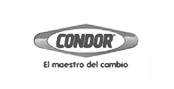 Condor, cliente de SurveyData
