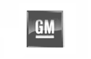 Gm, cliente de SurveyData